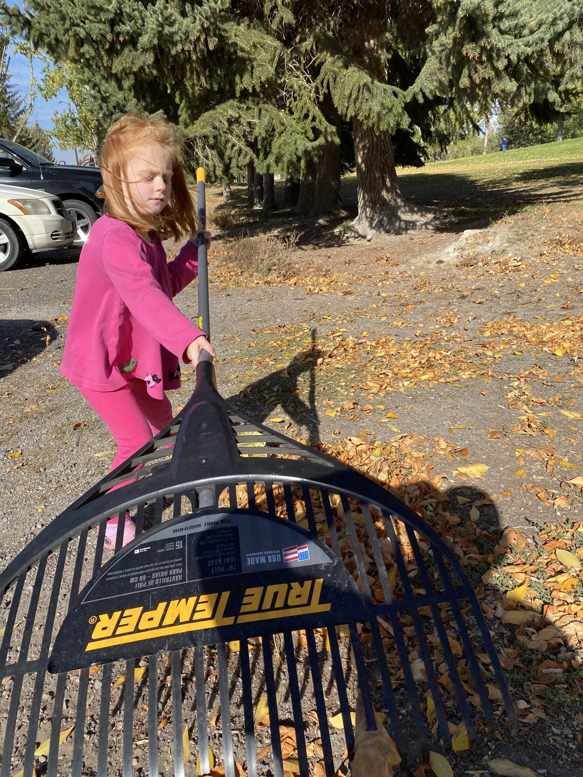girl raking leaves