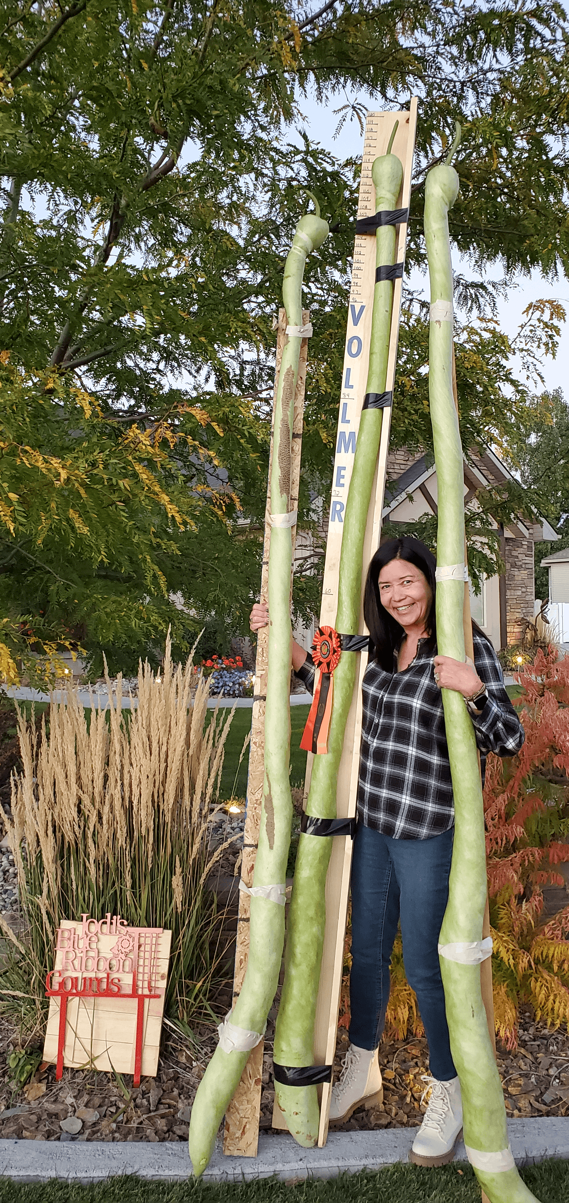 A few of the gourds