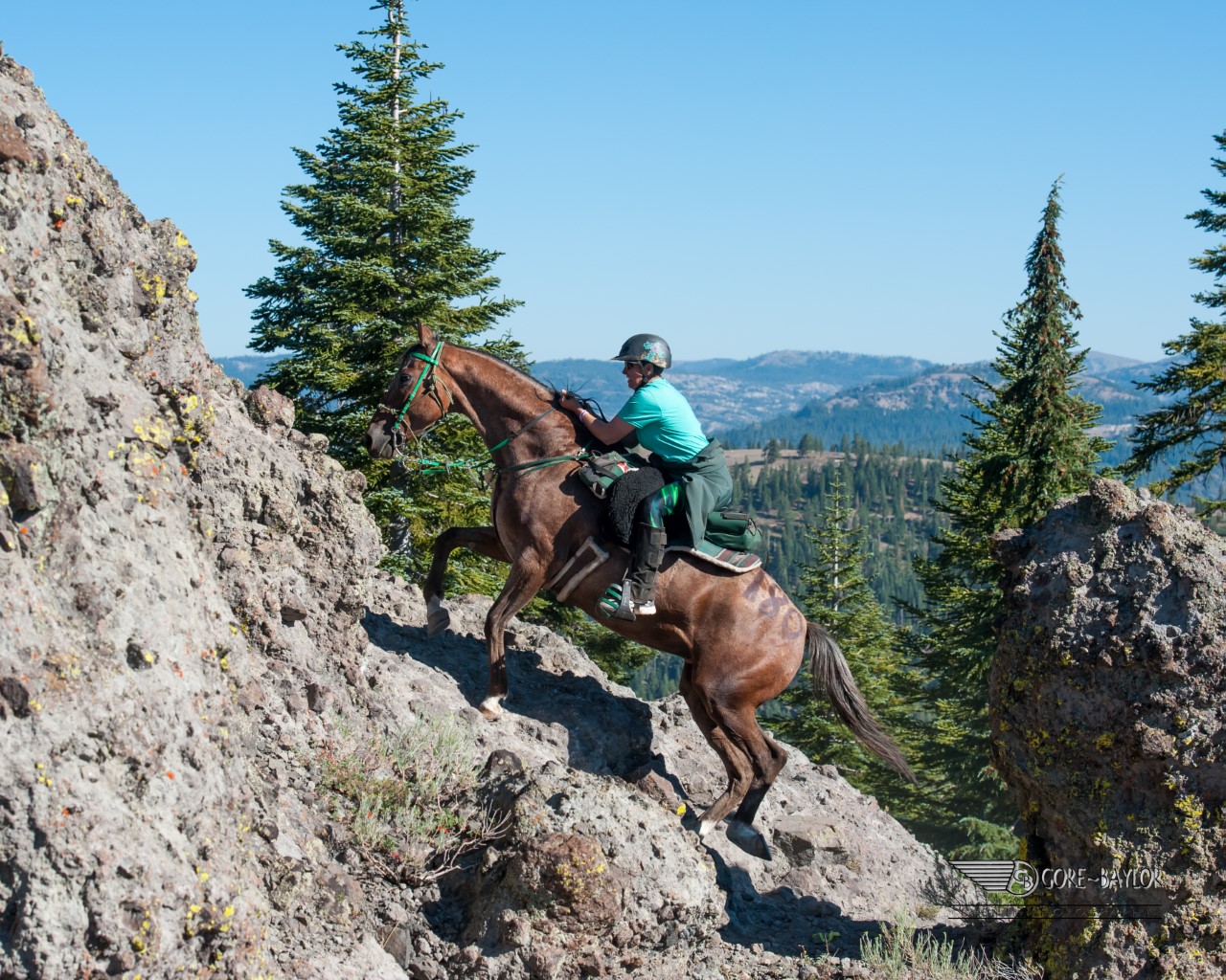 Along for the Ride: INL employee uses endurance equine racing to