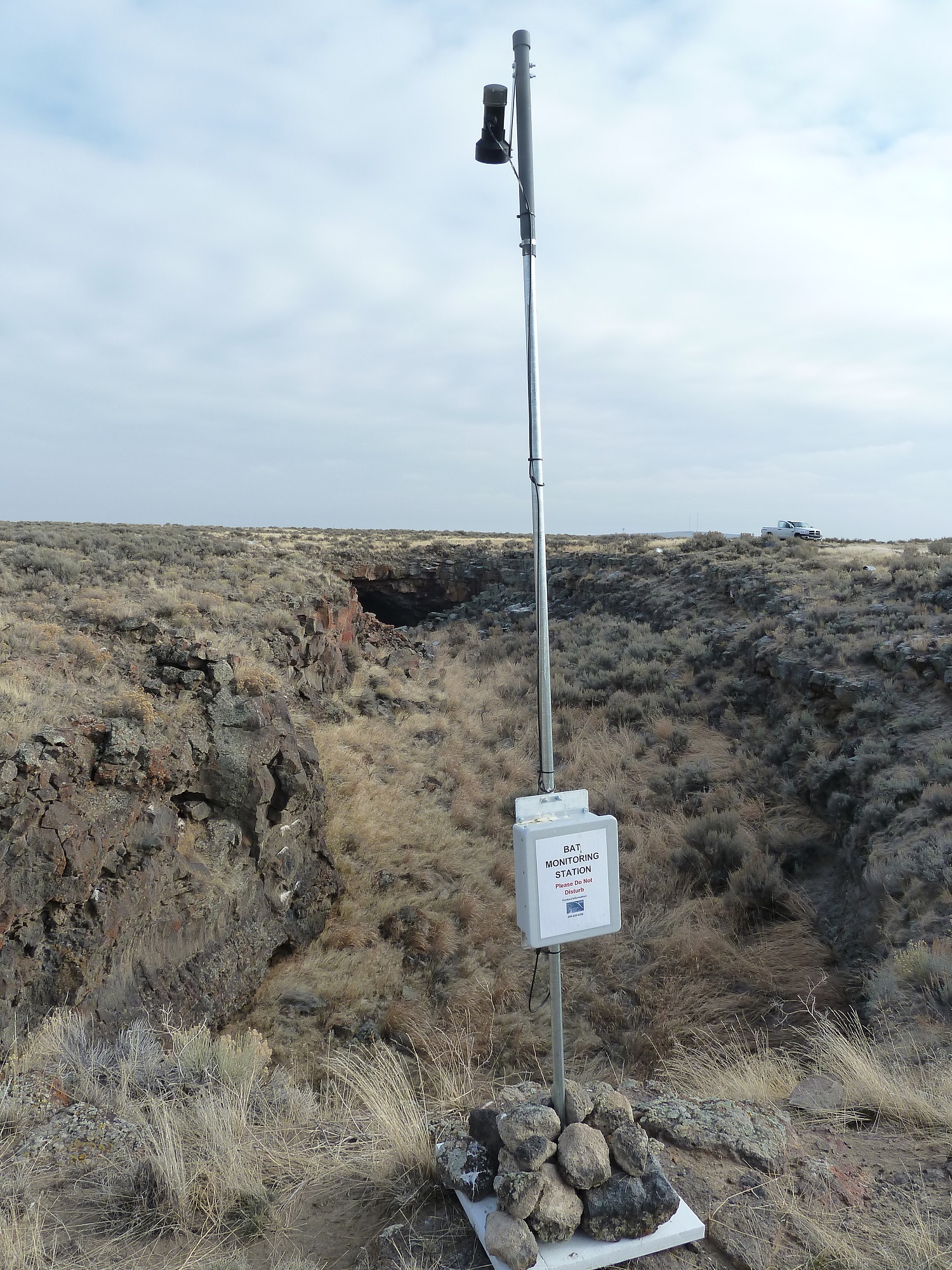 Bat monitoring station ESER. Zack Buck