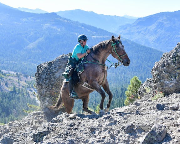 Along for the Ride: INL employee uses endurance equine racing to explore  the great outdoors - East Idaho News