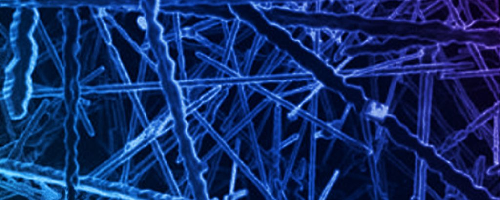 Integrated Energy