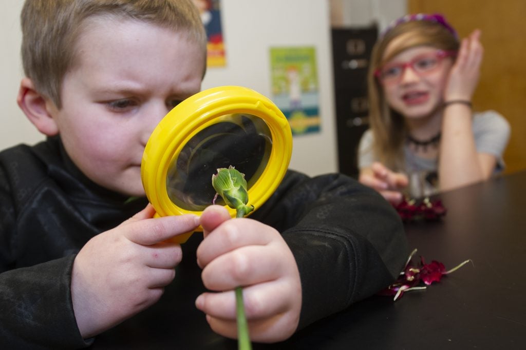 STEM Items