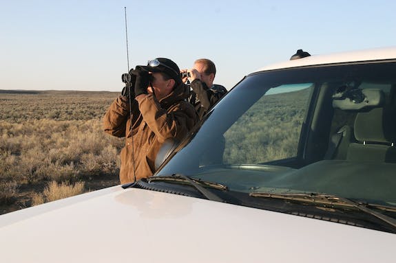 Viewing sage grouse ESER