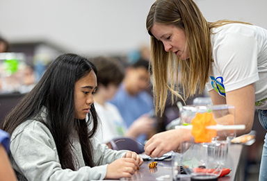 STEM Scholars and other summer camps