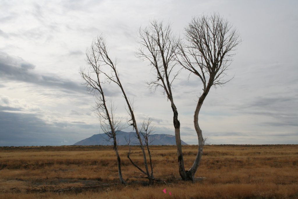 Looking south toward Big Southern Butte.