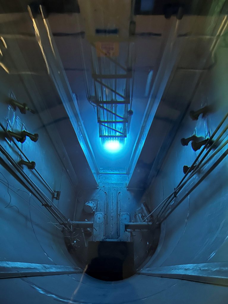 Texas A&M reactor core