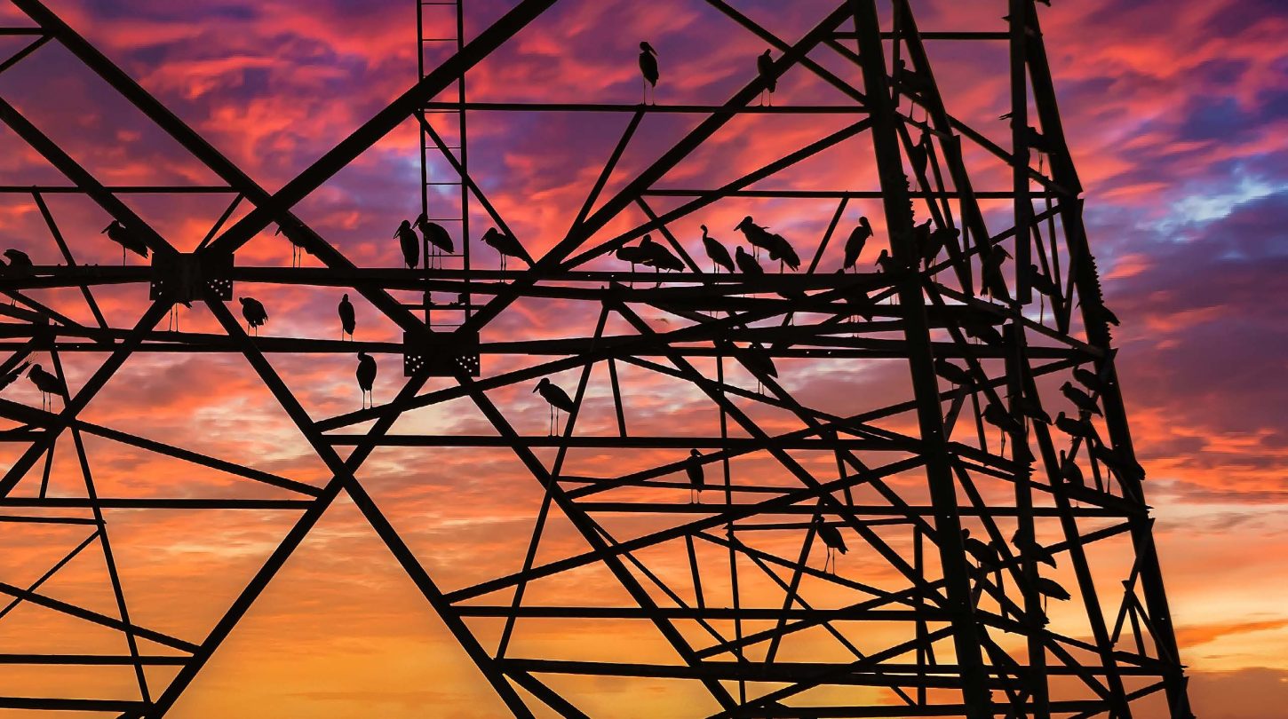 Silhouettes of birds perched on a power transmission tower against a vibrant orange and purple sunset sky.