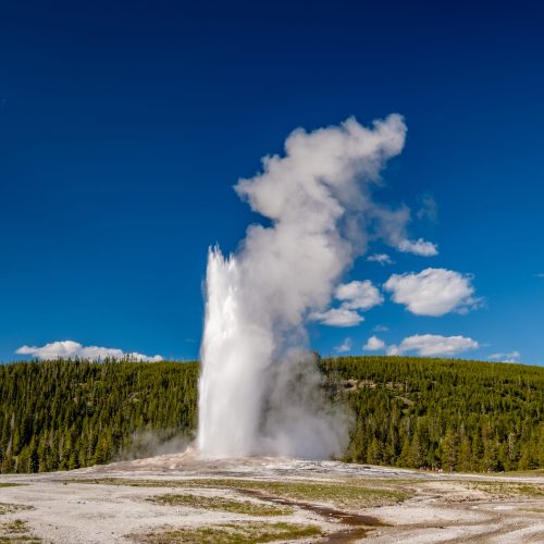 Eruption of Old Faithful geyser in Yellowstone National Park, Wyoming, USA